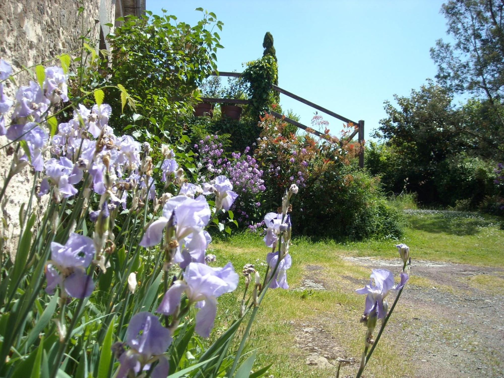 Bed and Breakfast La Tour Des Laudes Breuil-Barret Экстерьер фото